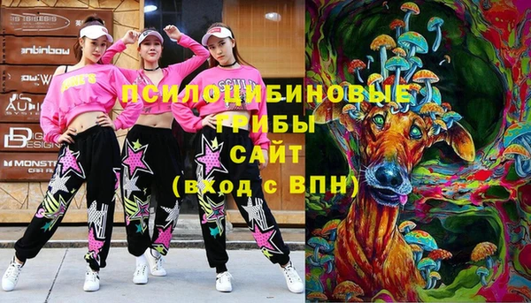 ПСИЛОЦИБИНОВЫЕ ГРИБЫ Абаза