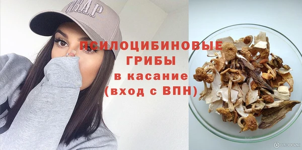 ПСИЛОЦИБИНОВЫЕ ГРИБЫ Абаза