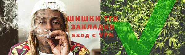 ПСИЛОЦИБИНОВЫЕ ГРИБЫ Абаза