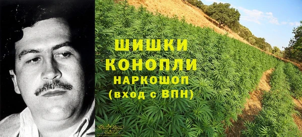 ПСИЛОЦИБИНОВЫЕ ГРИБЫ Абаза